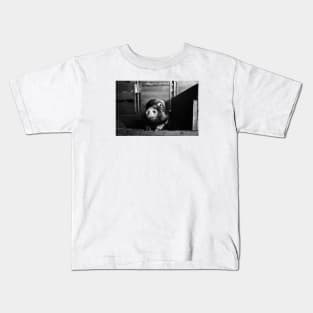 Minipic Pig II / Swiss Artwork Photography Kids T-Shirt